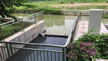 生態(tài)活水泵閘